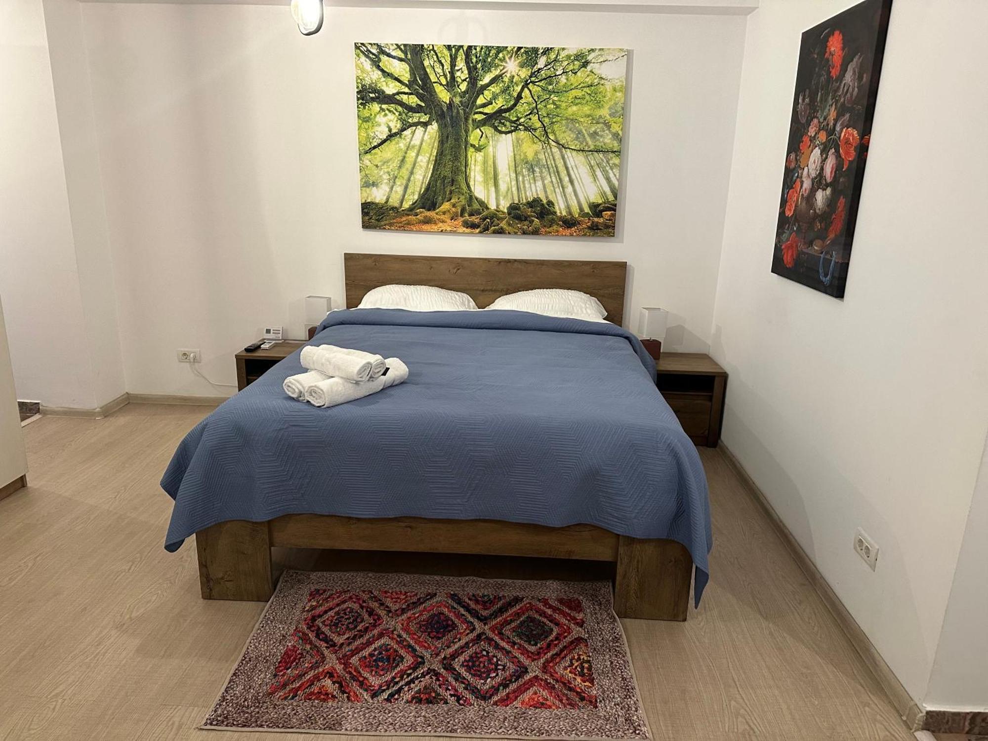 Appartamento Bucur