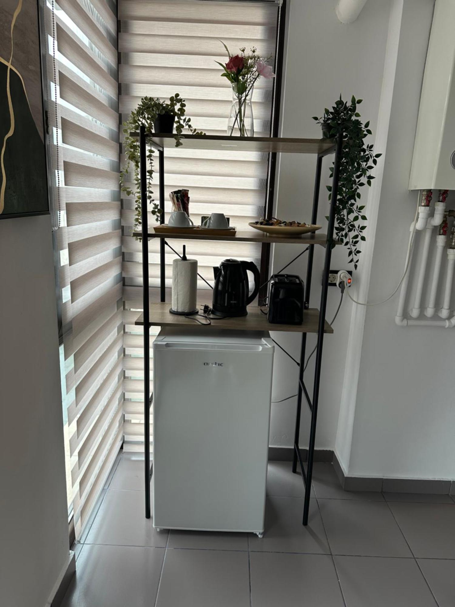 Appartamento Bucur
